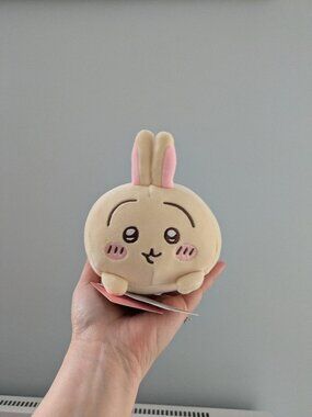 Kawaii Miniso Chiikawa Usagi Plush